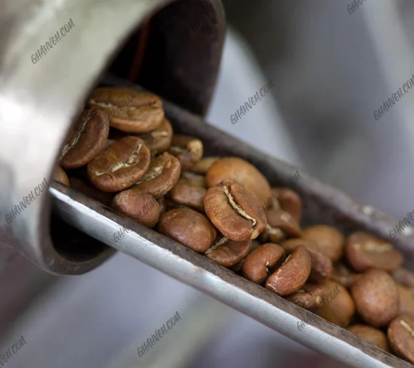 طرز مصرف پودر اسپرسو روبوستا - قهوه دات کام