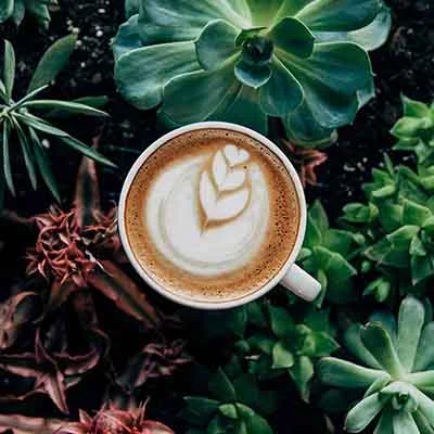 یک فنجان قهوه